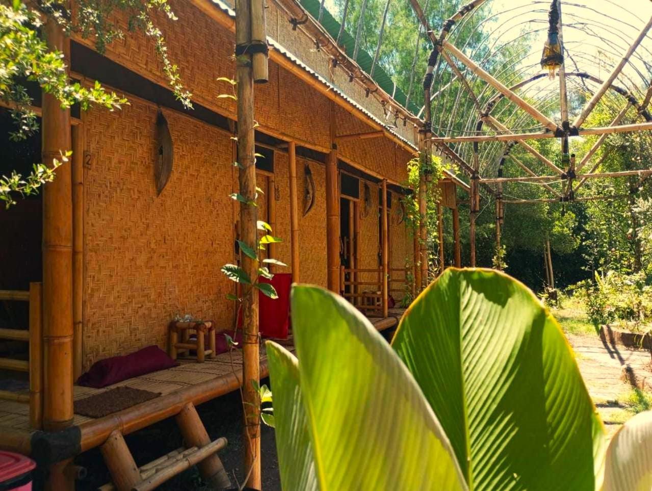 Uncle Hippie'S Dream Hostel Гили Мено Екстериор снимка