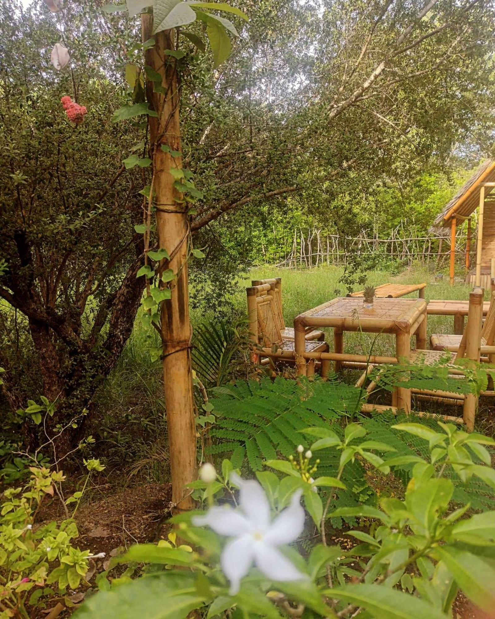 Uncle Hippie'S Dream Hostel Гили Мено Екстериор снимка