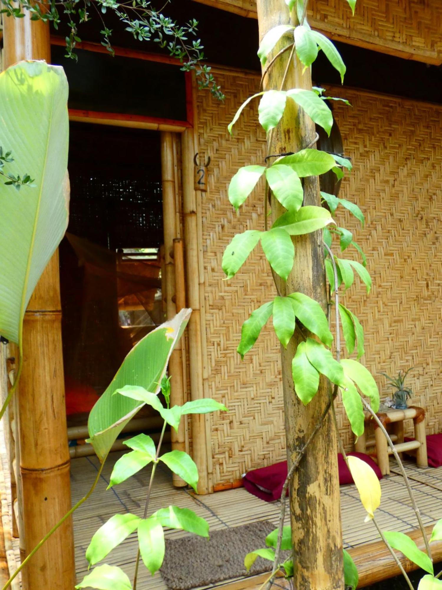 Uncle Hippie'S Dream Hostel Гили Мено Екстериор снимка